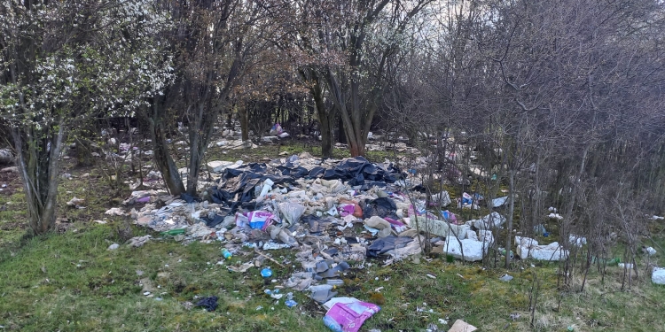 12 tone de gunoaie, adunate de lângă perdeaua forestieră a Timișoarei FOTO