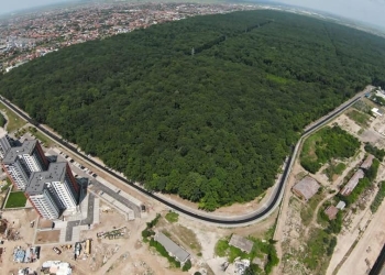 Primăria Timișoara, pas important pentru a transforma Pădurea Verde în pădure-parc