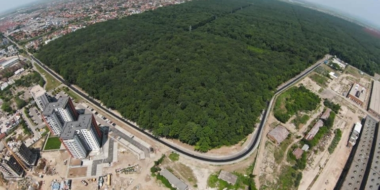 Primăria Timișoara, pas important pentru a transforma Pădurea Verde în pădure-parc