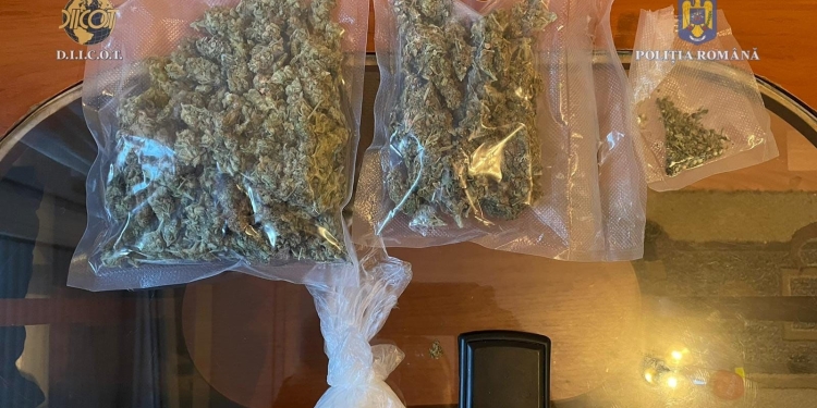 VIDEO Când berbecii mascaților îți dau trezirea, ajungi la audieri! Percheziții la Timișoara, la persoane suspectate că vindeau droguri