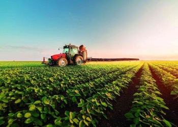 Zeci de fermieri și agricultori din Timiș, informați despre cum pot atrage bani europeni