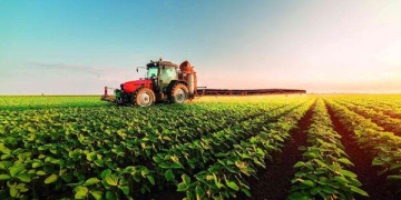 Zeci de fermieri și agricultori din Timiș, informați despre cum pot atrage bani europeni