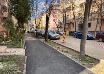 Primăria Timișoara a ajuns să se laude cu gropile pe care le astupă