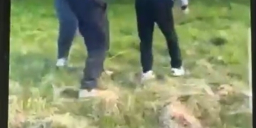 VIDEO Cearta dintre doi copii, aplanată de tatăl unui dintre ei, cu pumnul!