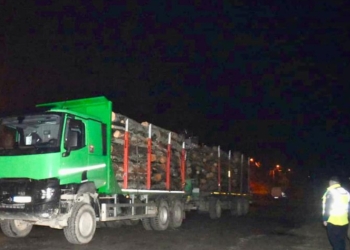 Șoferi de camioane amendați pentru că transportau lemn ilegal, pe drumuri din Banat