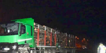 Șoferi de camioane amendați pentru că transportau lemn ilegal, pe drumuri din Banat