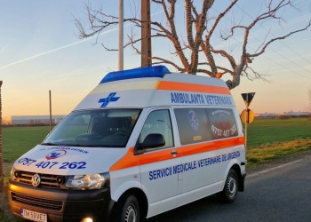 Caravană veterinară, la Recaș!