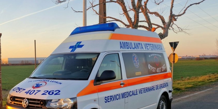 Caravană veterinară, la Recaș!