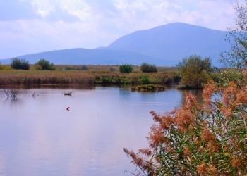 A avut un înger păzitor! Copil salvat de la înec de un polițist din Dumbrăvița