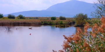 A avut un înger păzitor! Copil salvat de la înec de un polițist din Dumbrăvița