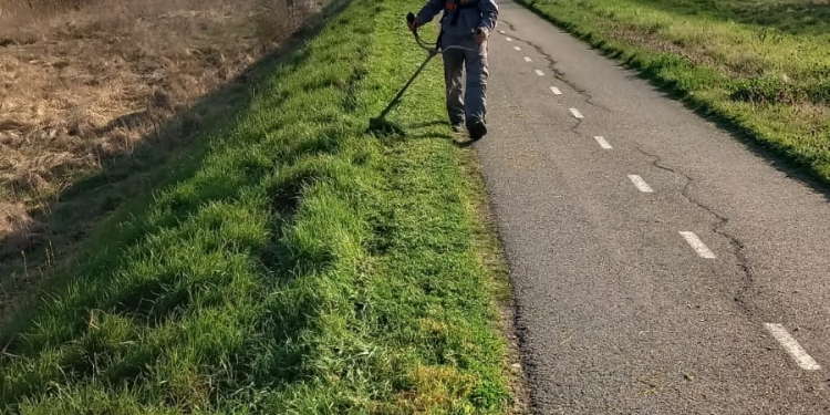 FOTO Curățenie pe pista de biciclete de pe malul Begăi, până-n Serbia