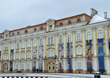 Muzeul de Artă din Timișoara oferă noi gratuități publicului