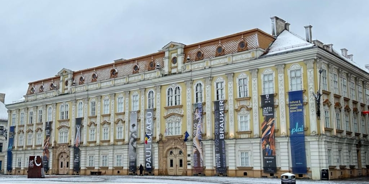 Muzeul de Artă din Timișoara oferă noi gratuități publicului