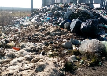 O fostă stație de sortare, transformată în groapă de gunoi. Amendă uriașă aplicată de Garda de Mediu Timiș FOTO