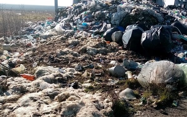 O fostă stație de sortare, transformată în groapă de gunoi. Amendă uriașă aplicată de Garda de Mediu Timiș FOTO