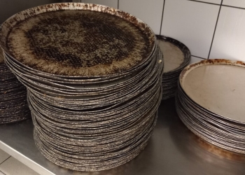 Gândaci și mizerie! Restaurantul Pizza Hut din mallul din Șagului, închis de OPC Timiș FOTO