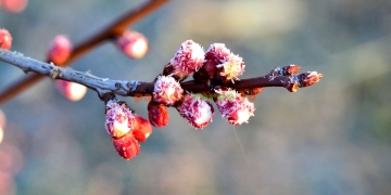 Două zile cu frig în România, inclusiv în Banat