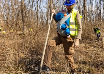 10.000 de puieți de salcâm vor fi plantați pe un deal din Timiș. Se caută voluntari