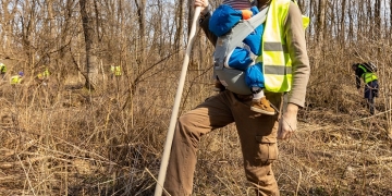 10.000 de puieți de salcâm vor fi plantați pe un deal din Timiș. Se caută voluntari