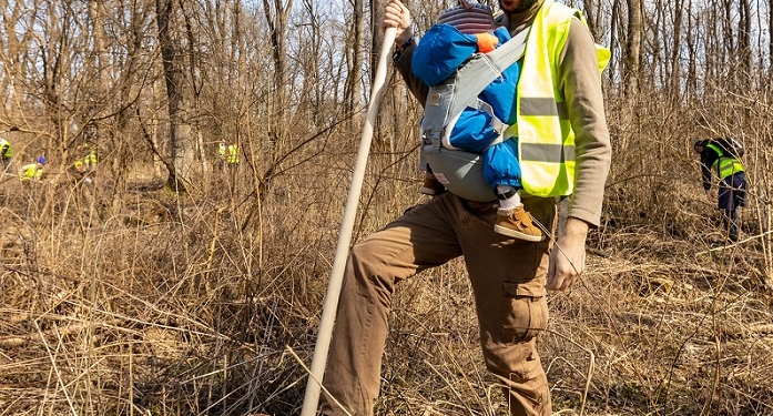 10.000 de puieți de salcâm vor fi plantați pe un deal din Timiș. Se caută voluntari