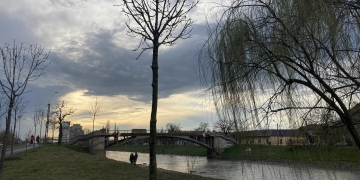 Se pregătește reabilitarea pasarelei Gelu. 13 arbori mari de pe malul Begăi, mutați