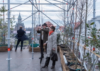 Peste 25.000 de oameni au admirat Timișoara de la înălțime, din turnul cu plante FOTO