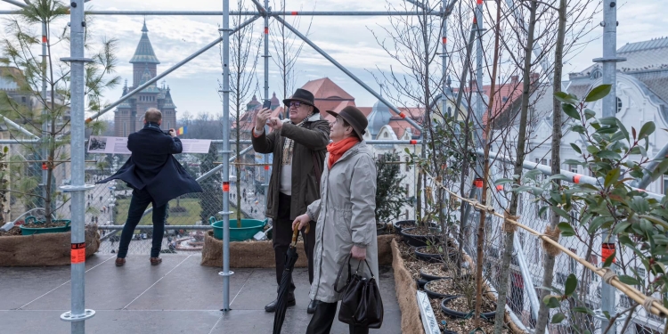 Peste 25.000 de oameni au admirat Timișoara de la înălțime, din turnul cu plante FOTO