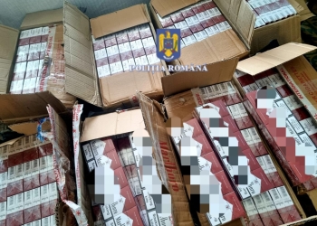 Percheziții și rețineri, în vestul țării! Mii de pachete de țigări, confiscate