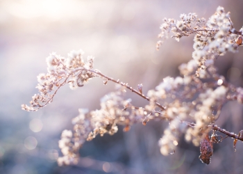 Vreme rece până sâmbătă dimineața, în Banat