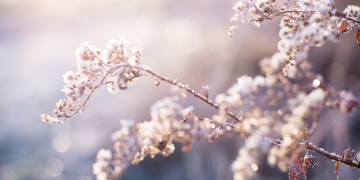 Vreme rece până sâmbătă dimineața, în Banat