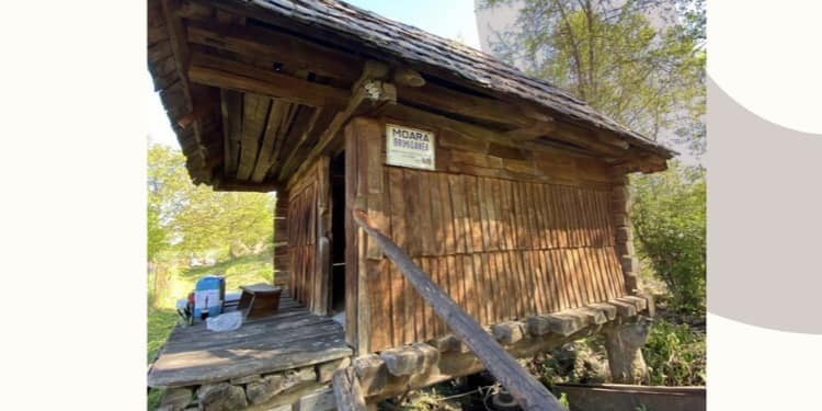 Brunch în Țara Morilor de Apă! Invitație în Banat!