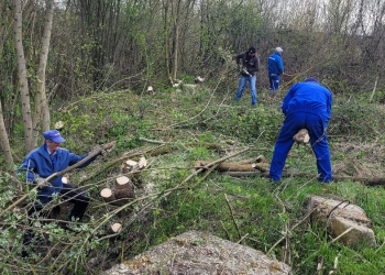 Continuă campania de igienizare a râului Bega