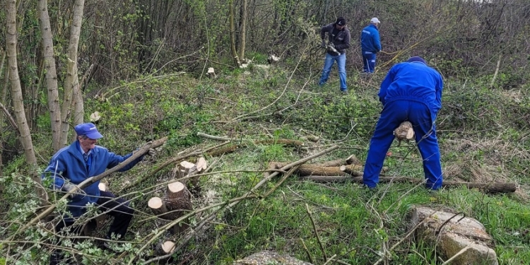 Continuă campania de igienizare a râului Bega