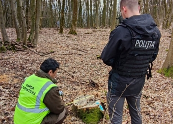Peste 100 de amenzi aplicate de Garda Forestieră Timișoara în primele luni din 2023