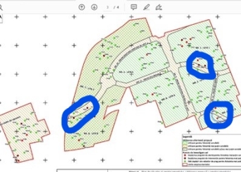 Prefectul Ritivoiu, despre Fritz, pe tema decontaminării terenului de la Solventul: L-am prins cu minciuna