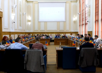 Circ în ultimul plen al Consiliului Local Timișoara. Userista Ana Munteanu a urlat în ședință