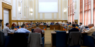 Circ în ultimul plen al Consiliului Local Timișoara. Userista Ana Munteanu a urlat în ședință