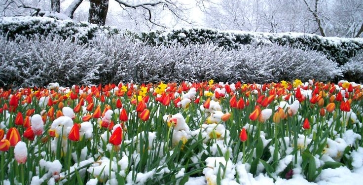 Revine iarna în Banat! Cod galben de ninsori și vreme deosebit de rece