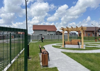 Campanii de dezinsecție în desfășurare în Cărpiniș și Iecea Mică pentru protejarea locurilor de joacă