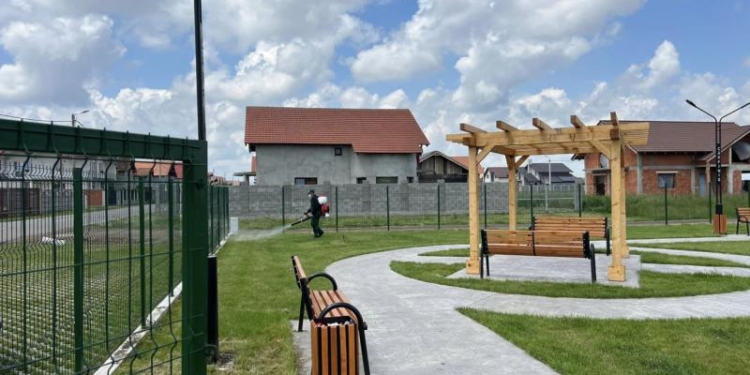 Campanii de dezinsecție în desfășurare în Cărpiniș și Iecea Mică pentru protejarea locurilor de joacă