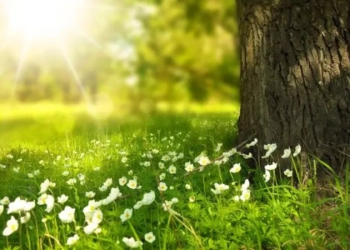 Vremea se încălzește și aduce instabilitate în următoarele zile