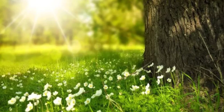 Vremea se încălzește și aduce instabilitate în următoarele zile