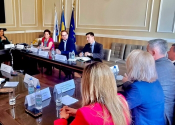 Timișoara și o regiune din Polonia, proiecte comune în domeniul culturii