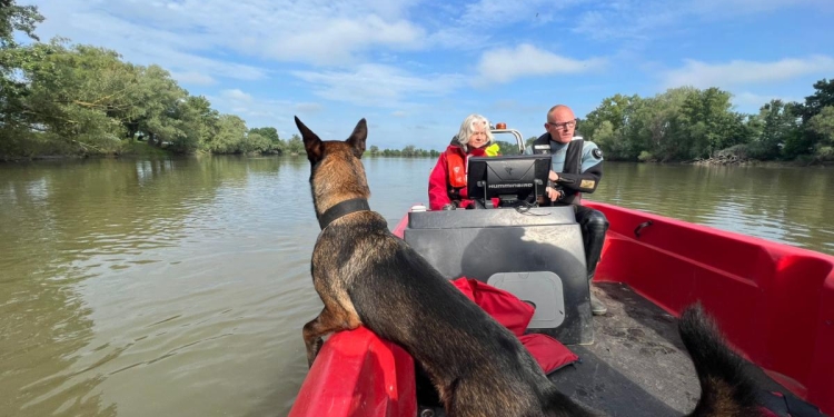 VIDEO Câini dresați să găsească cadavre în apă, în căutarea copilei încă dispărută în apele Mureșului