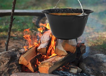 „Ceaunul Gastronomic” la Stamora Germană