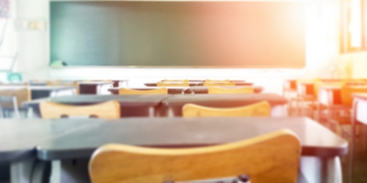 Dosare penale pentru 19 infracțiuni în școlile din Timiș, în acest an