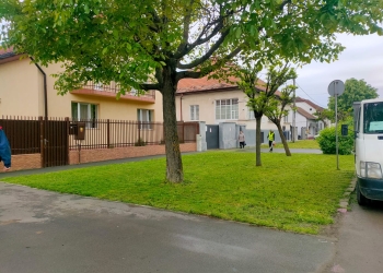 Primăria Timișoara: Am reușit să cosim aproape 80% din suprafața totală a spațiilor verzi