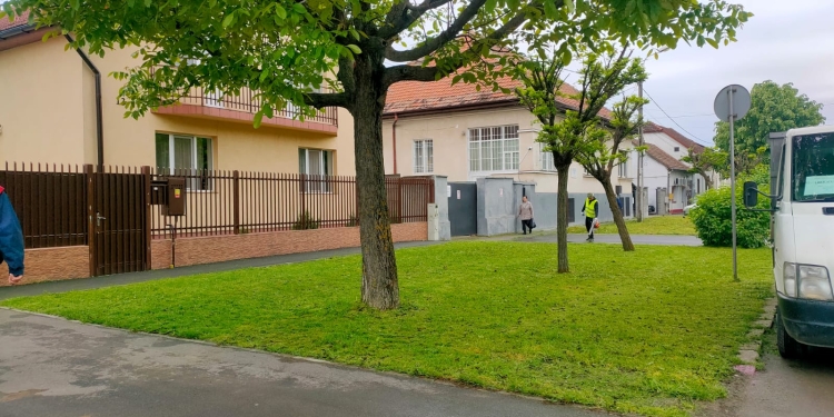 Primăria Timișoara: Am reușit să cosim aproape 80% din suprafața totală a spațiilor verzi