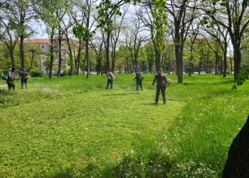 Primăria Timișoara se laudă că s-a mobilizat pentru a pune la punct spațiile verzi și parcurile