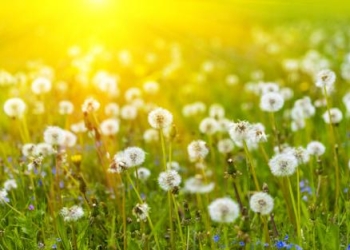 Se încălzește vremea în Banat. Prognoza meteo pentru următoarele două săptămâni